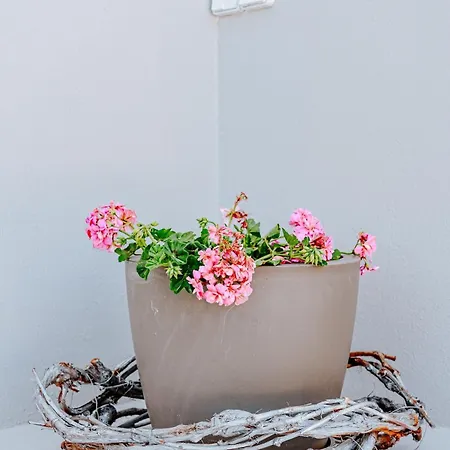 Ostria * Akrotírion