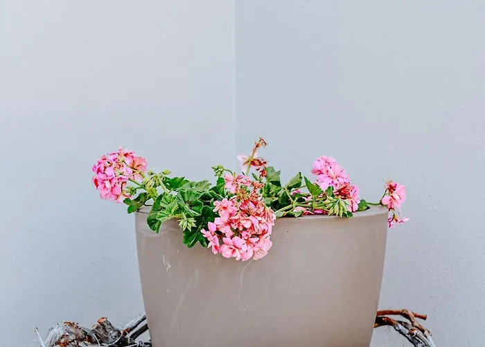 Ostria * Akrotiri (Santorini)